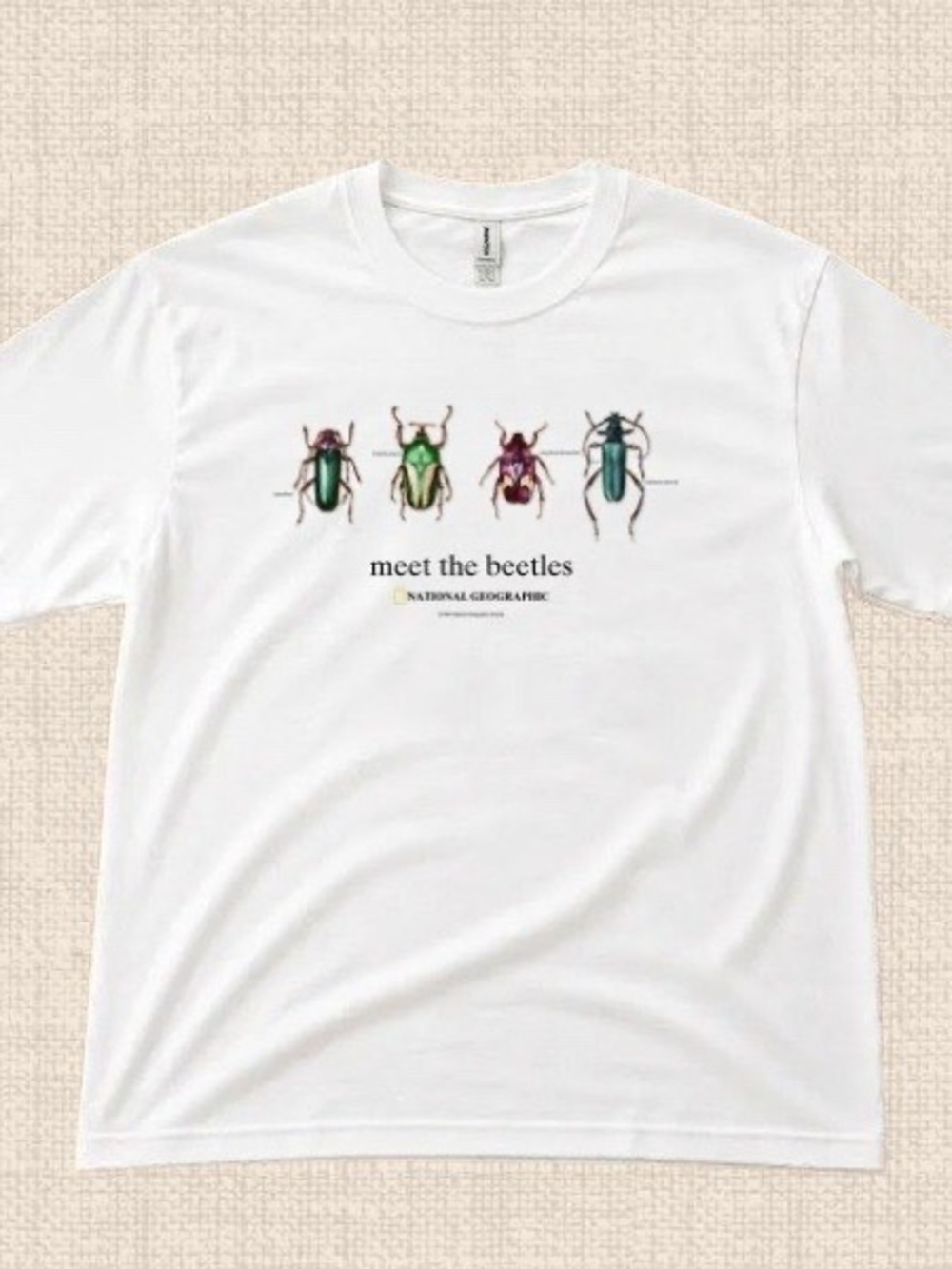 Gildan White National Geographic "Meet the Beetles" White Graphic Tee